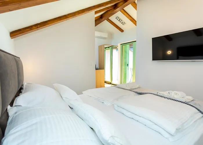 House Dream * Milohnici